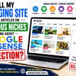 The Unspoken Rules of AdSense Approval